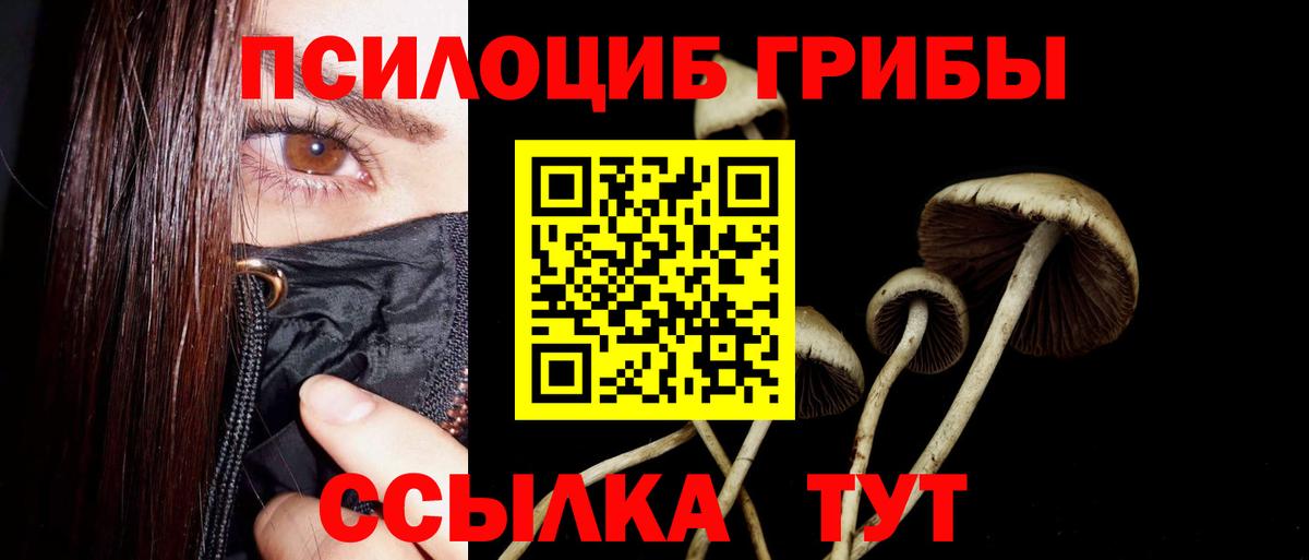 Родники  Псилоцибиновые грибы Cubensis  Вход с VPN 