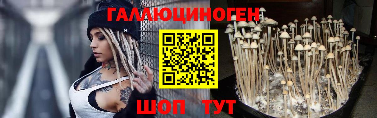 Галлюциногенные грибы MAGIC MUSHROOMS Родники