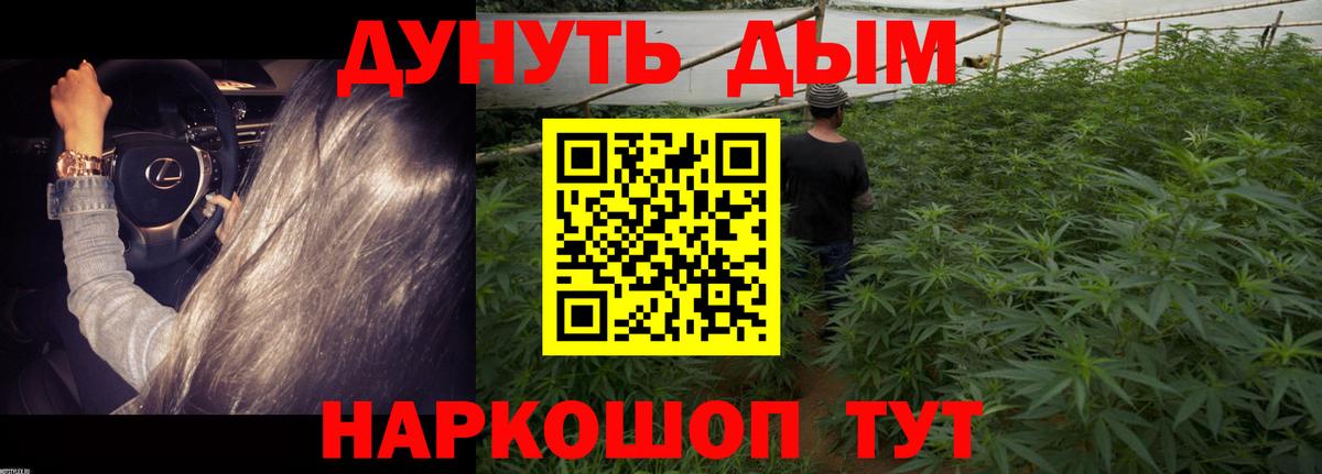 Родники  Каннабис индика  Вход с VPN  Шишки марихуана сатива 